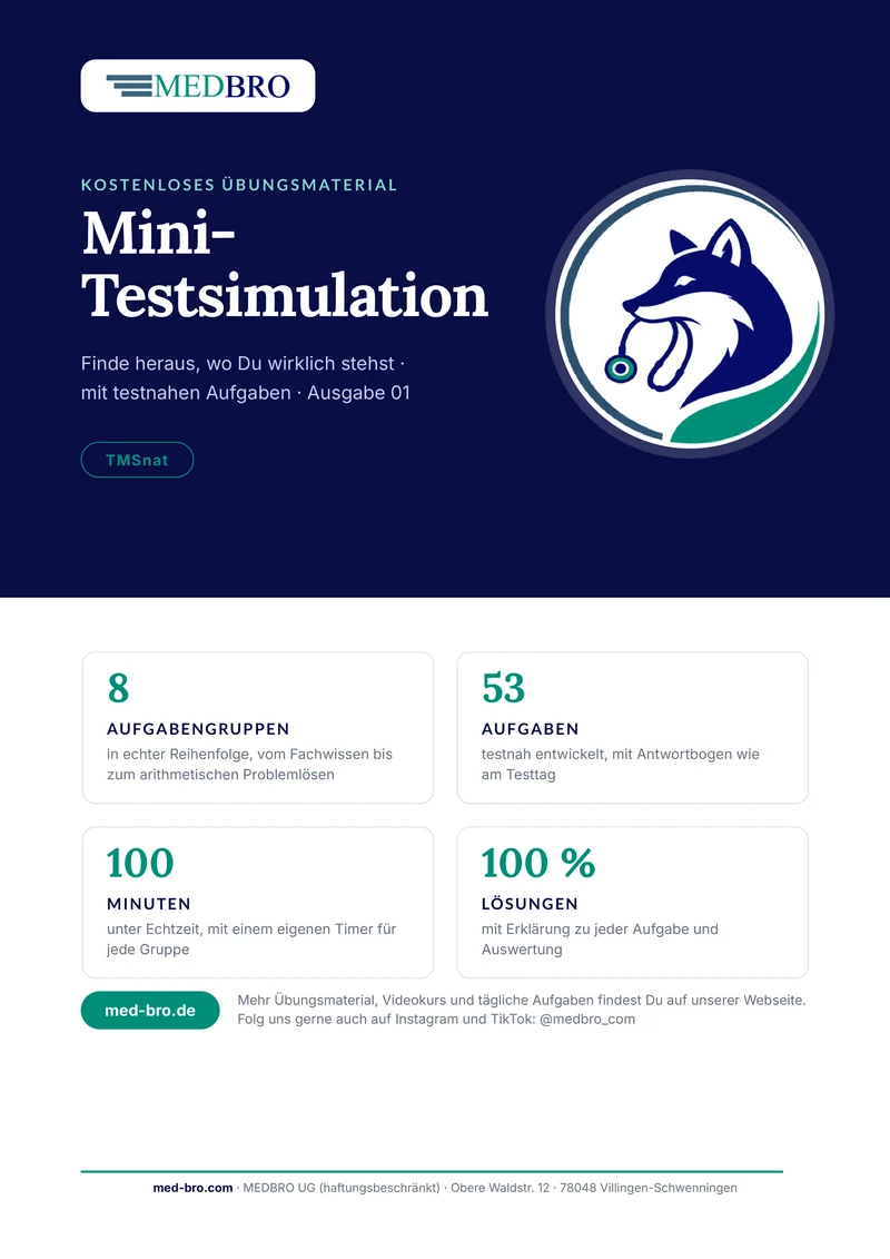 Titelblatt: Mini-Testsimulation TMSnat